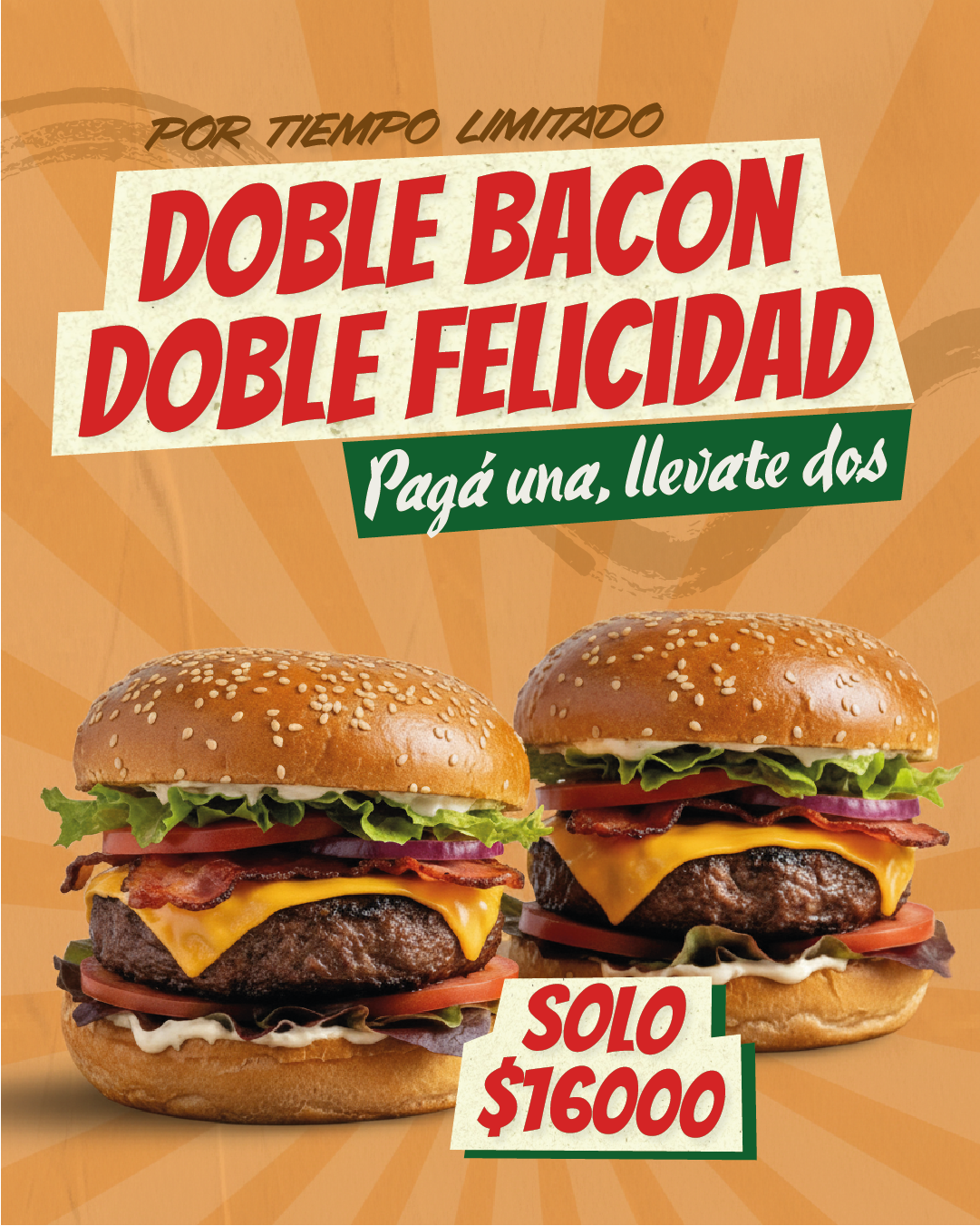 Flyer de Seidor Analytics